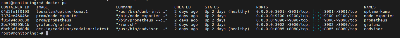 docker ps VM101