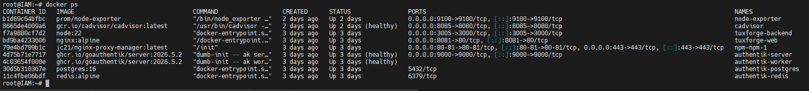 docker ps VM102