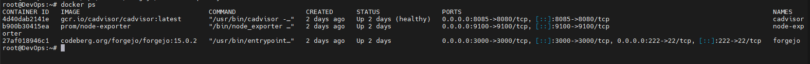 docker ps VM103