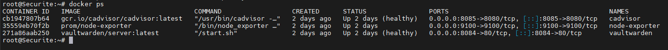 docker ps VM104