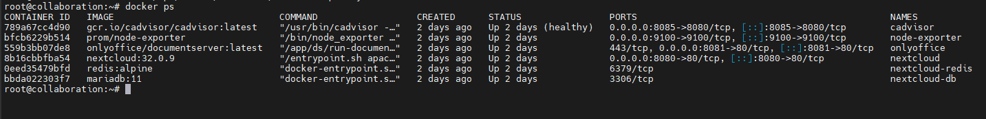 docker ps VM105