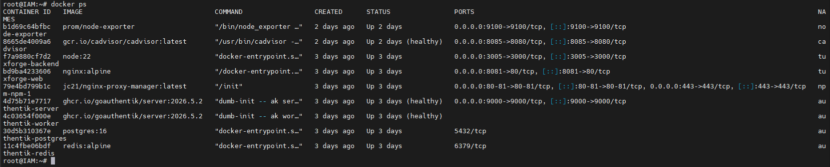 Résultat de la commande docker ps