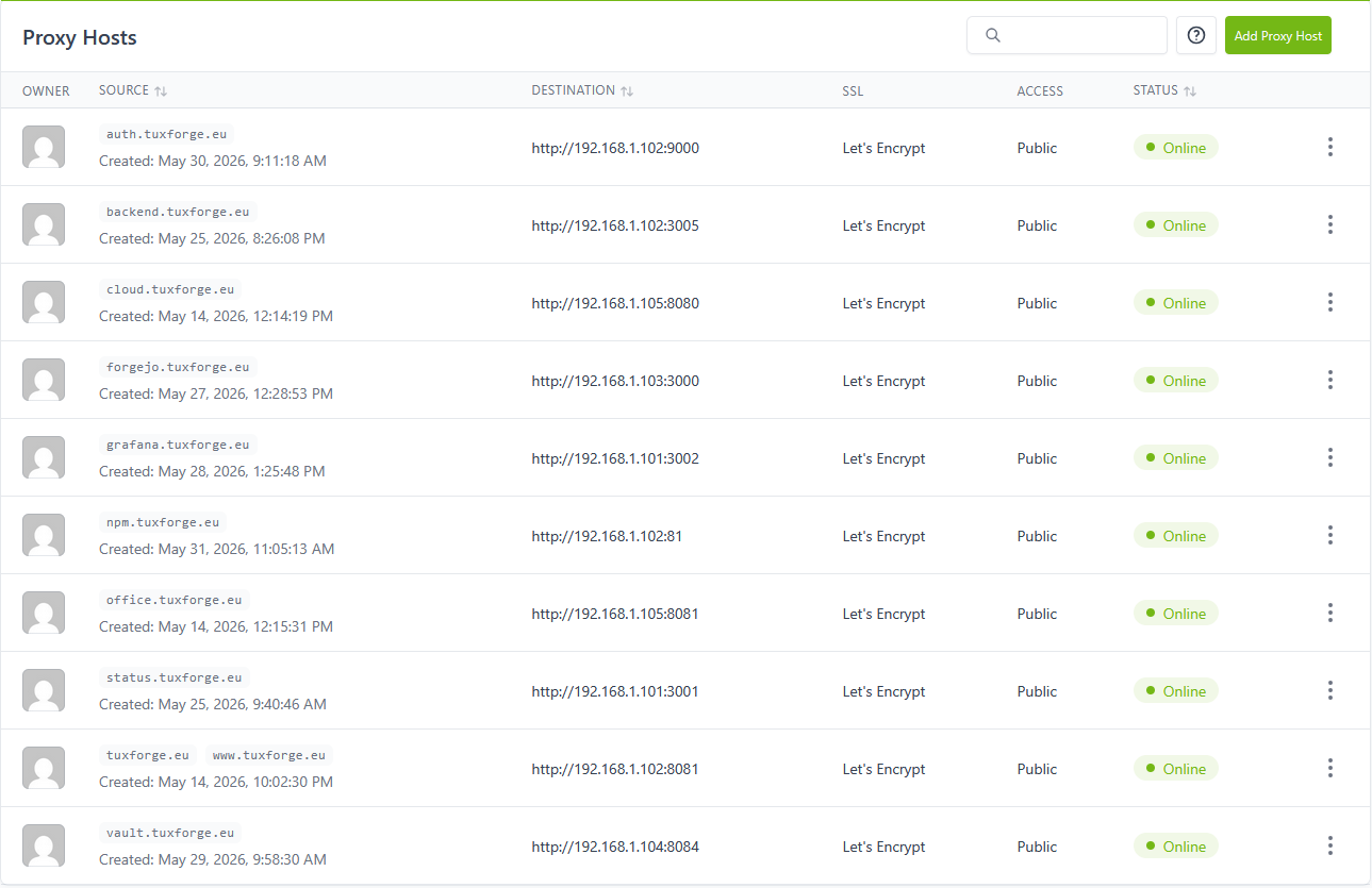 Proxy Hosts dans NPM